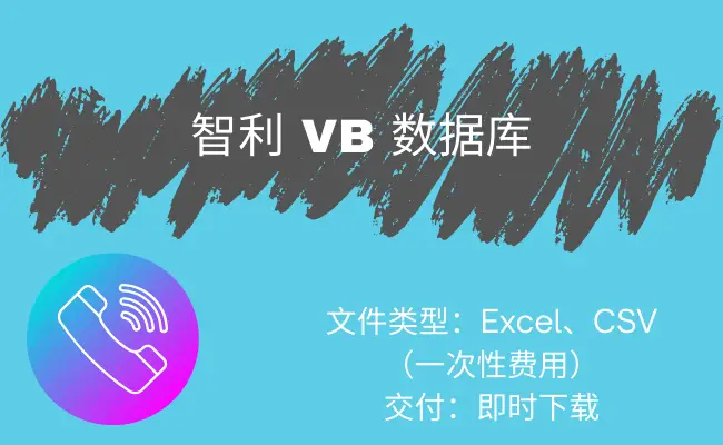 智利 VB 数据库