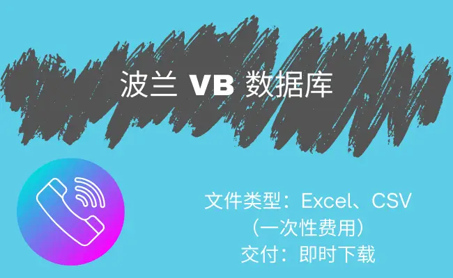 波兰 VB 数据库