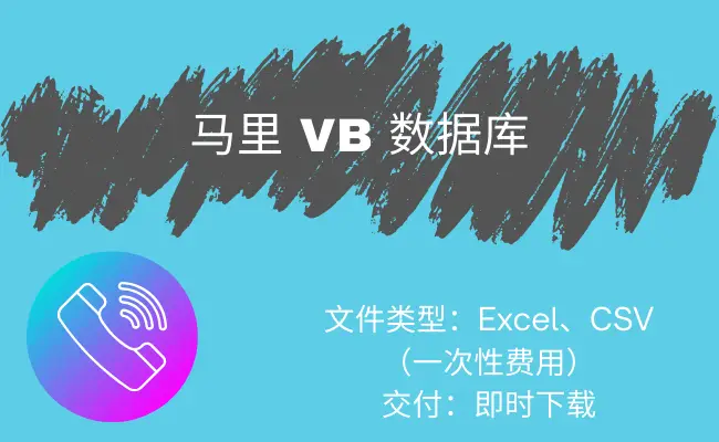 马里 VB 数据库